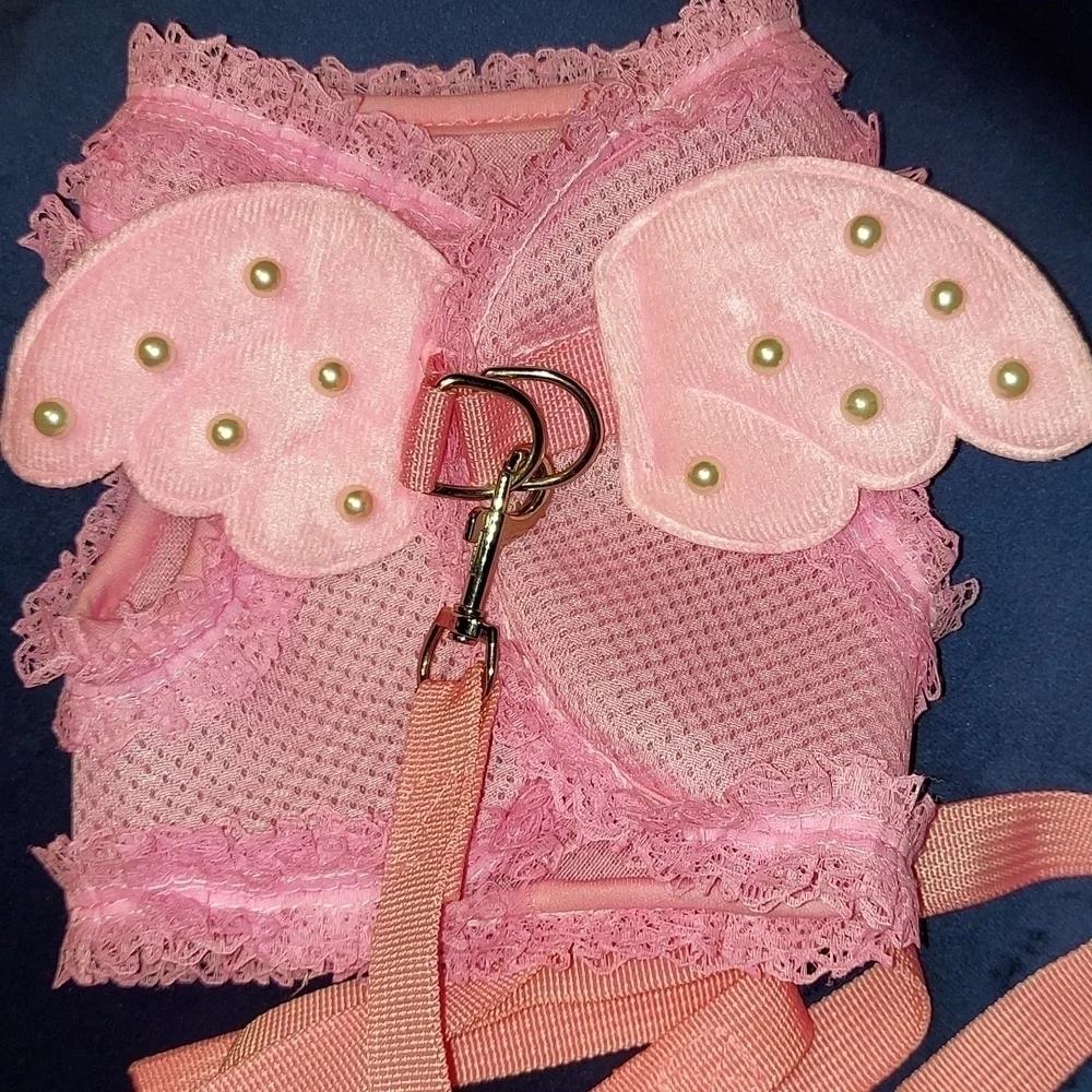 Doggie wear Angel outfit